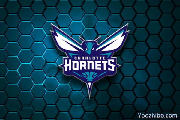 2019-2020赛季<a href=/lanqiujingpin/hornets/ target=_blank class=infotextkey>黄蜂</a>队队徽